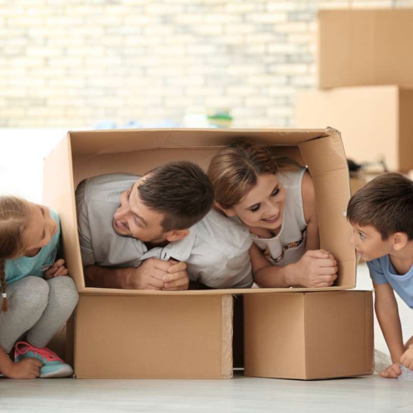 Top 8 Captivating Multi-usable Toys Cardboard Boxes